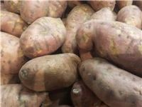 Potatoes, Sweet, Yams